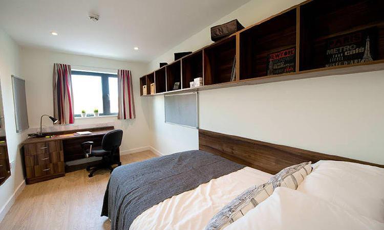 Zeni 5 Bed Apartment In Central Exeter Zewnętrze zdjęcie